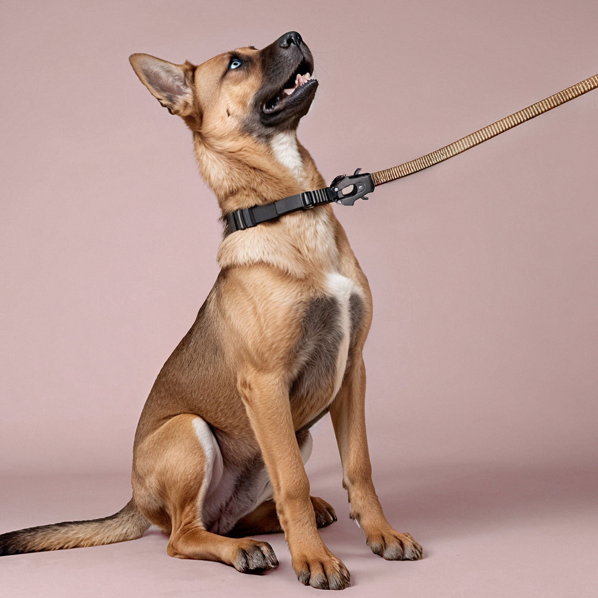 Furvo ControlTac™ Tactical Dog Leash – Heavy-Duty Bungee, Quick-Release Carabiner, Reflective, Dual Handles, Seatbelt Clip