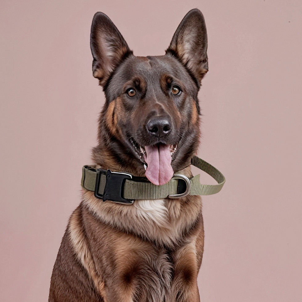 Furvo ControlTac™ Military Dog Collar – 1050D Nylon, Control Handle, Metal Buckle, Adjustable Fit (M–XL)