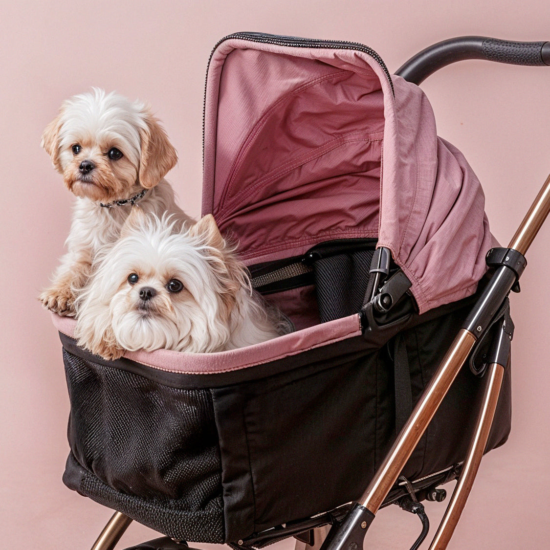 Dog Stroller