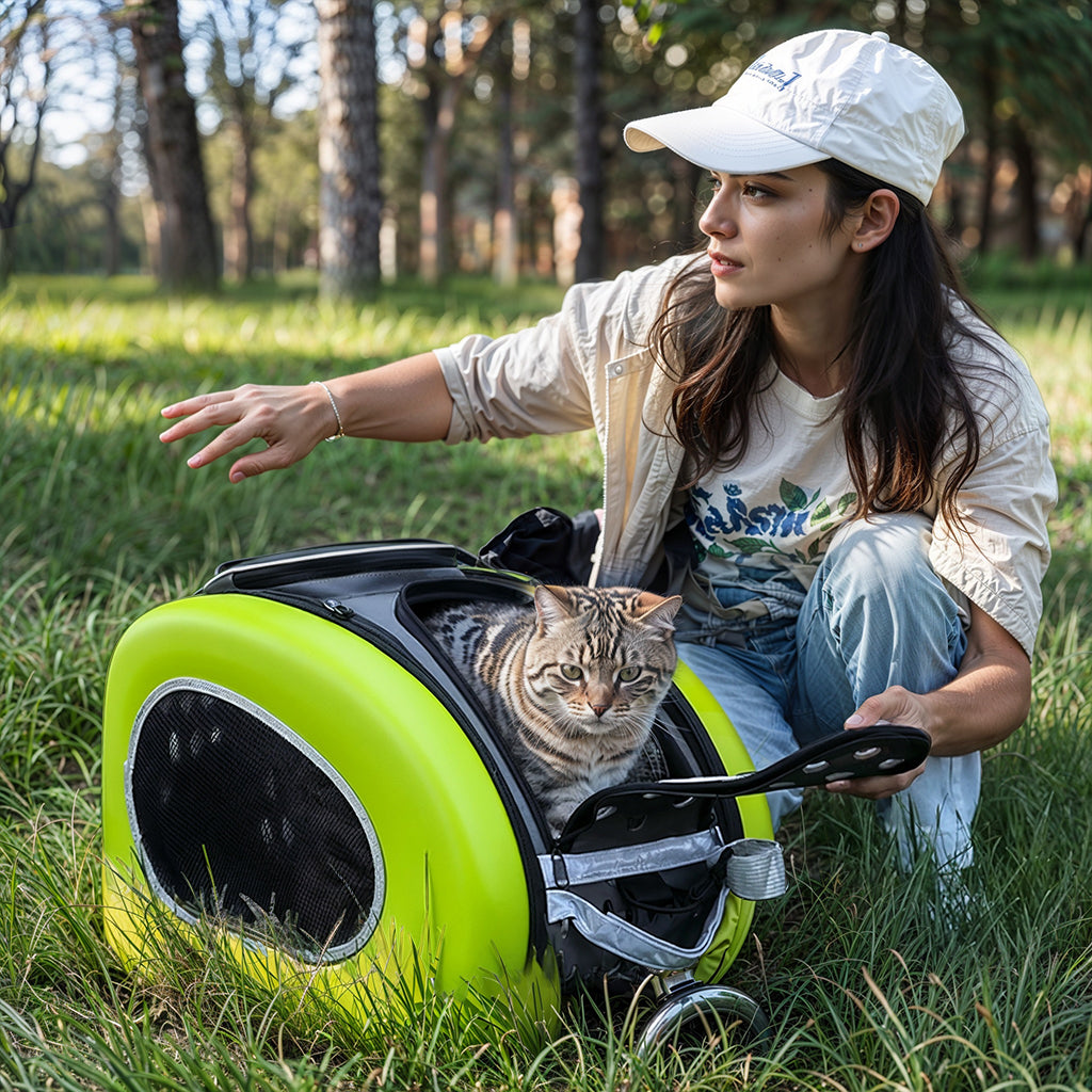 Cat Stroller