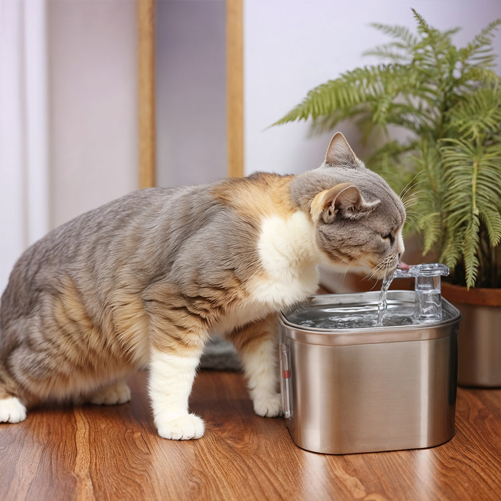 Furvo AquaFlow™ Fountain – 74oz Stainless Steel Cat Water Fountain, Ultra-Quiet & Triple Filtration