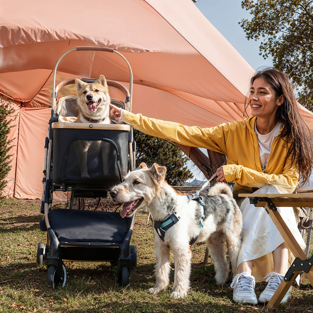 Dog Stroller