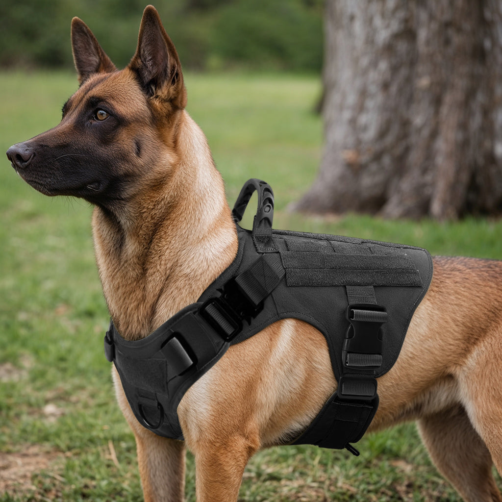 Furvo ControlTac™ Tactical Dog Harness & Collar Set – No-Pull, MOLLE System, Metal Buckles, 1050D Nylon (S–XL)
