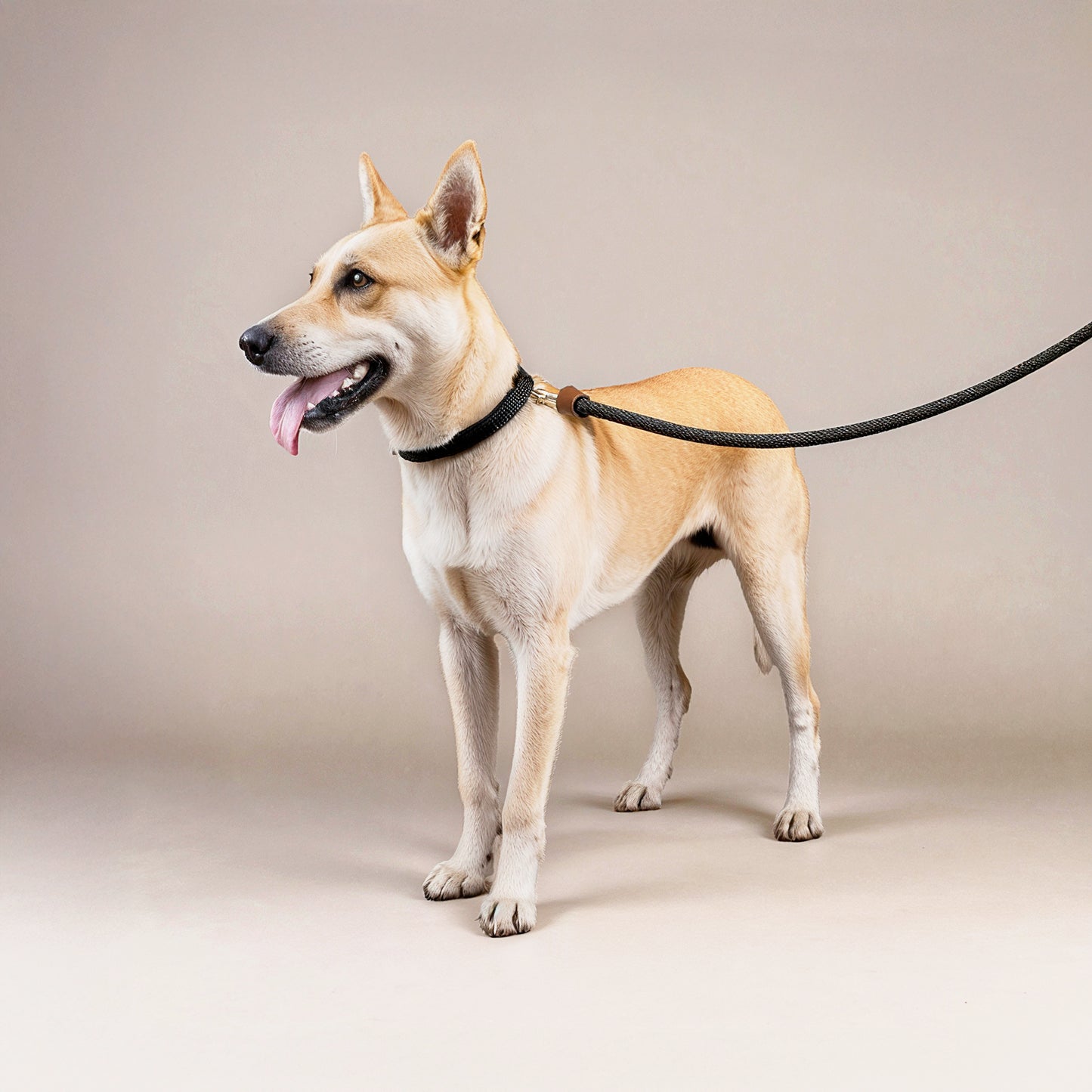 Furvo GlideLock™ Leash – No-Pull Slip Design with Adjustable Collar, Climbing Rope Strength & Soft Grip Comfort