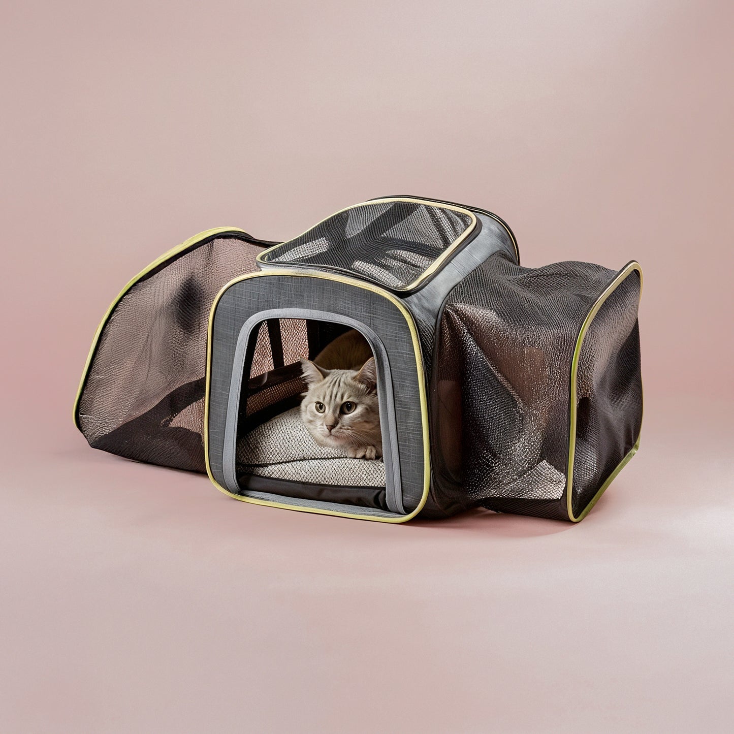 Cat Carrier