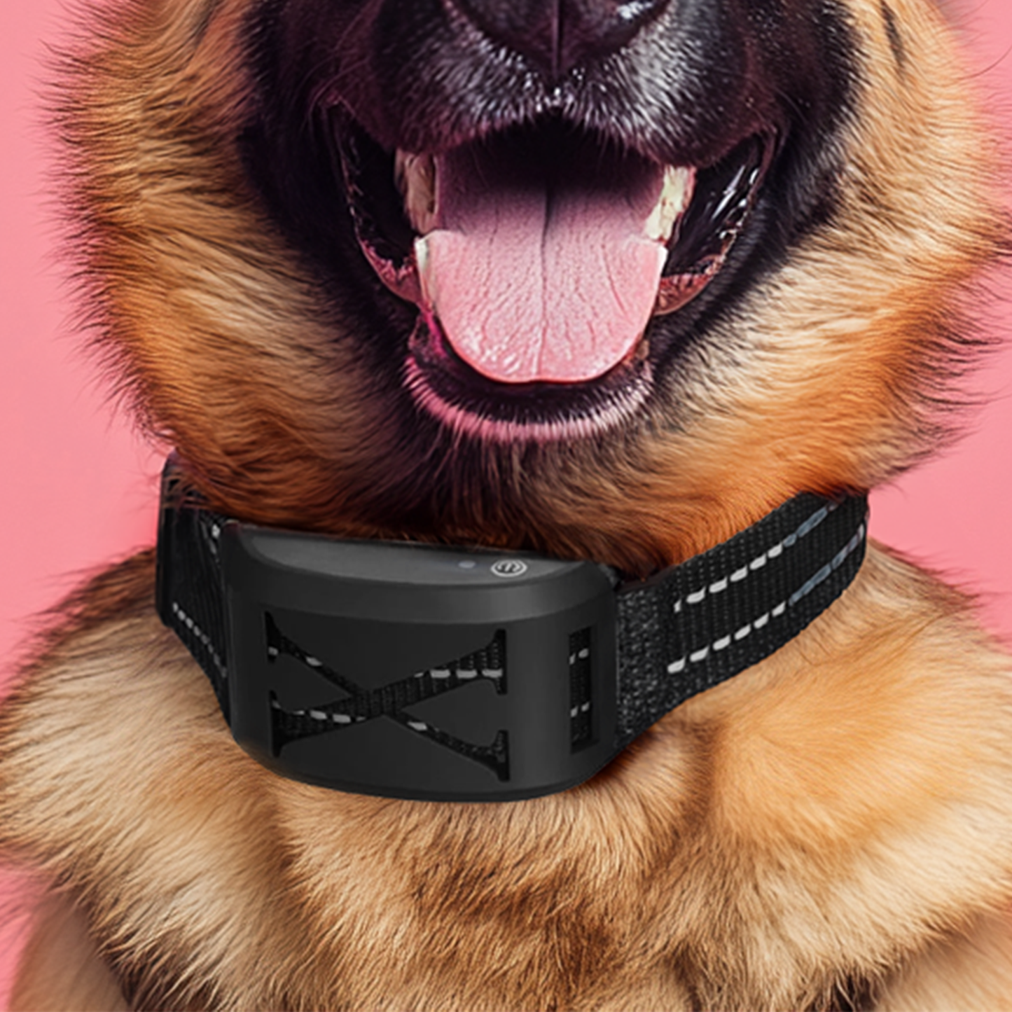 Furvo 2 in 1 Wireless Dog Fence & Training Collar
