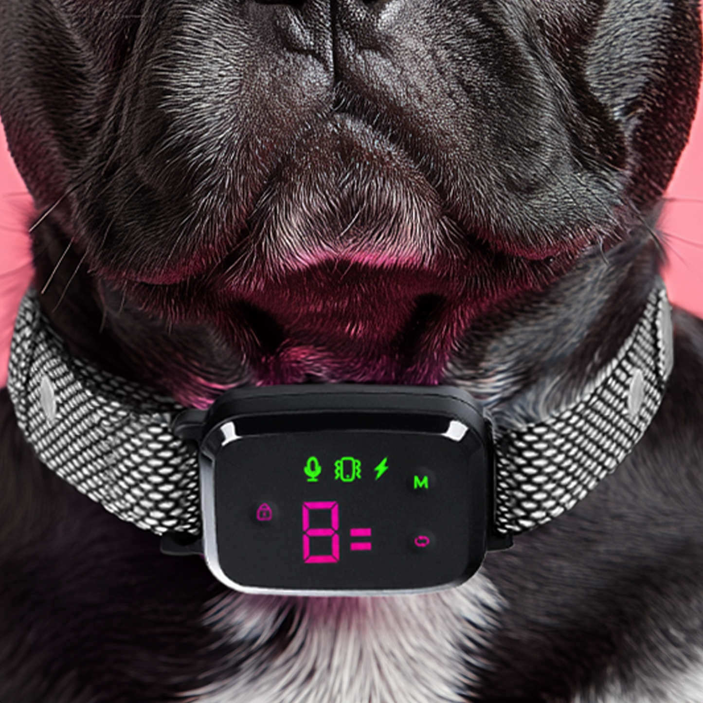 Furvo Anti Barking Dog Collar