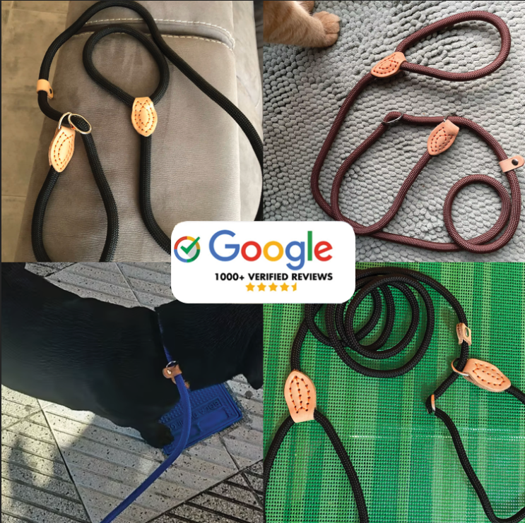Furvo GlideLock™ Leash – No-Pull Slip Design with Adjustable Collar, Climbing Rope Strength & Soft Grip Comfort