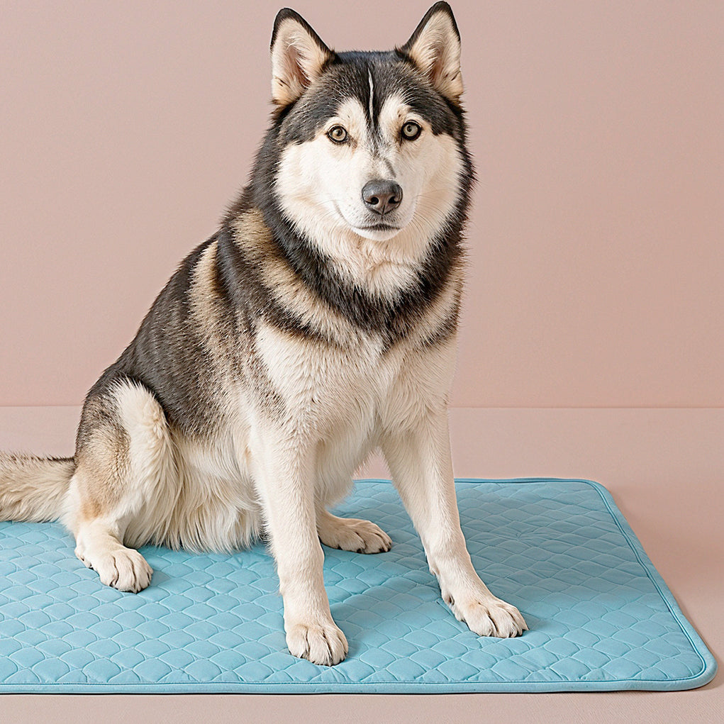 Furvo ChillCore™ Cooling Mat for Dogs & Cats – No Gel, Washable, XL Sizes