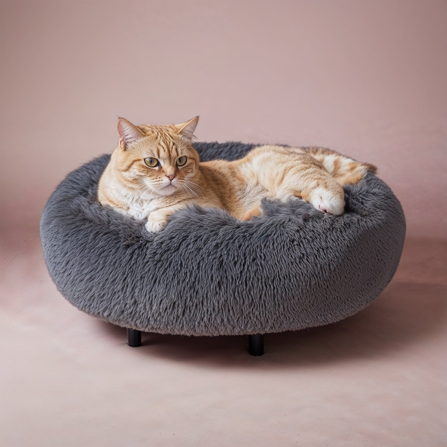 Cat Bed model 1