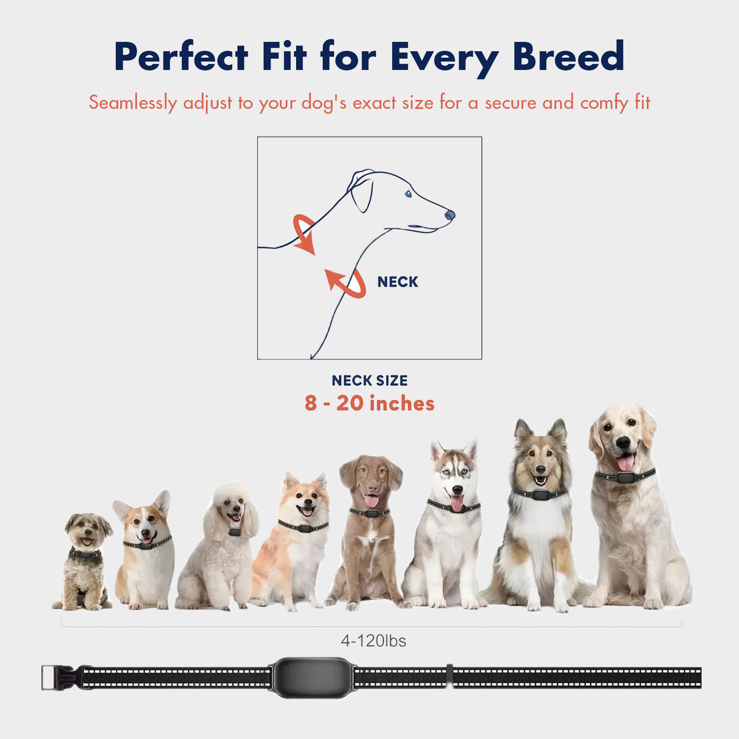 Furvo Dog Training Collar with Remote