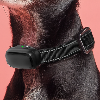 Furvo Dog Training Collar with Remote