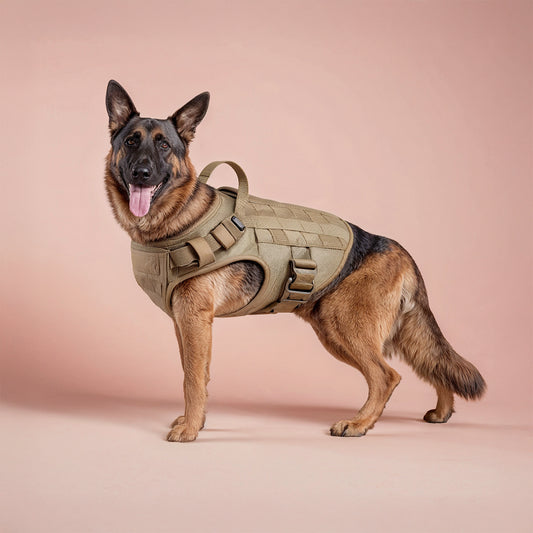  Furvo ControlTac™ Tactical Dog Harness & Collar Set – No-Pull, MOLLE System, Metal Buckles, 1050D Nylon (S–XL)
