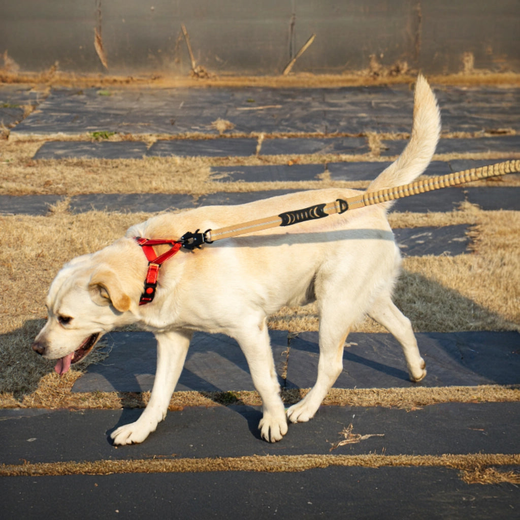 Furvo ControlTac™ Tactical Dog Leash – Heavy-Duty Bungee, Quick-Release Carabiner, Reflective, Dual Handles, Seatbelt Clip