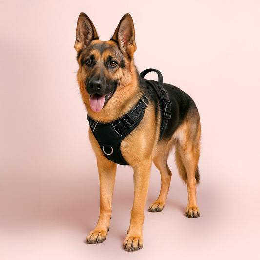 Title: Furvo ControlMax™ No-Pull Dog Harness – Adjustable, Reflective, with Front & Back Leash Clips