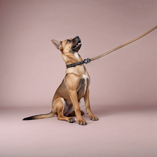 Furvo ControlTac™ Tactical Dog Leash – Heavy-Duty Bungee, Quick-Release Carabiner, Reflective, Dual Handles, Seatbelt Clip