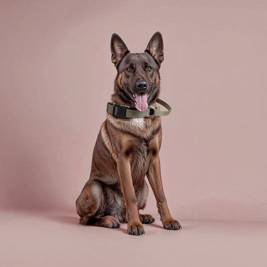 Furvo ControlTac™ Military Dog Collar – 1050D Nylon, Control Handle, Metal Buckle, Adjustable Fit (M–XL)