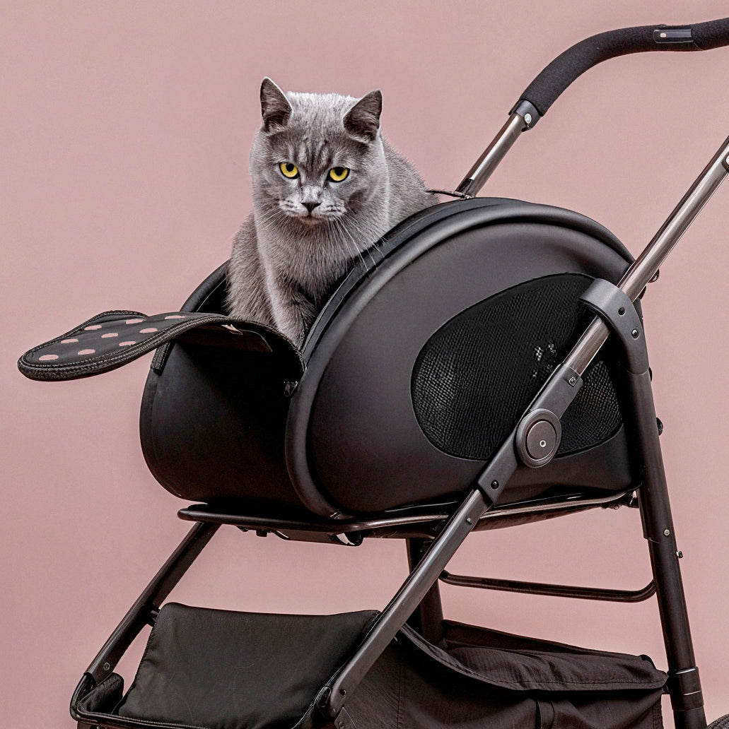 Cat Stroller