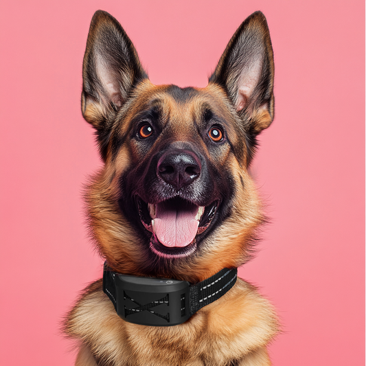 Furvo 2 in 1 Wireless Dog Fence & Training Collar