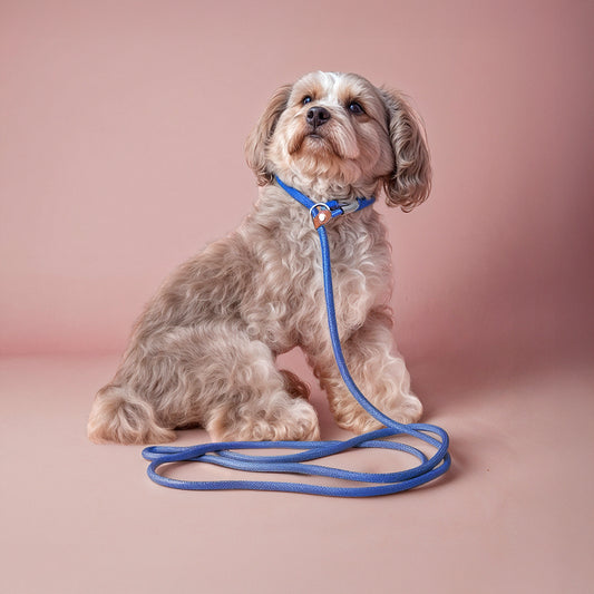 Furvo GlideLock™ Leash – No-Pull Slip Design with Adjustable Collar, Climbing Rope Strength & Soft Grip Comfort