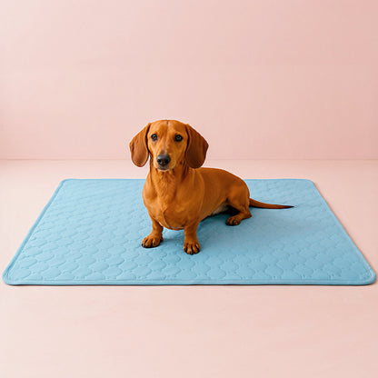 Furvo ChillCore™ Cooling Mat for Dogs & Cats – No Gel, Washable, XL Sizes
