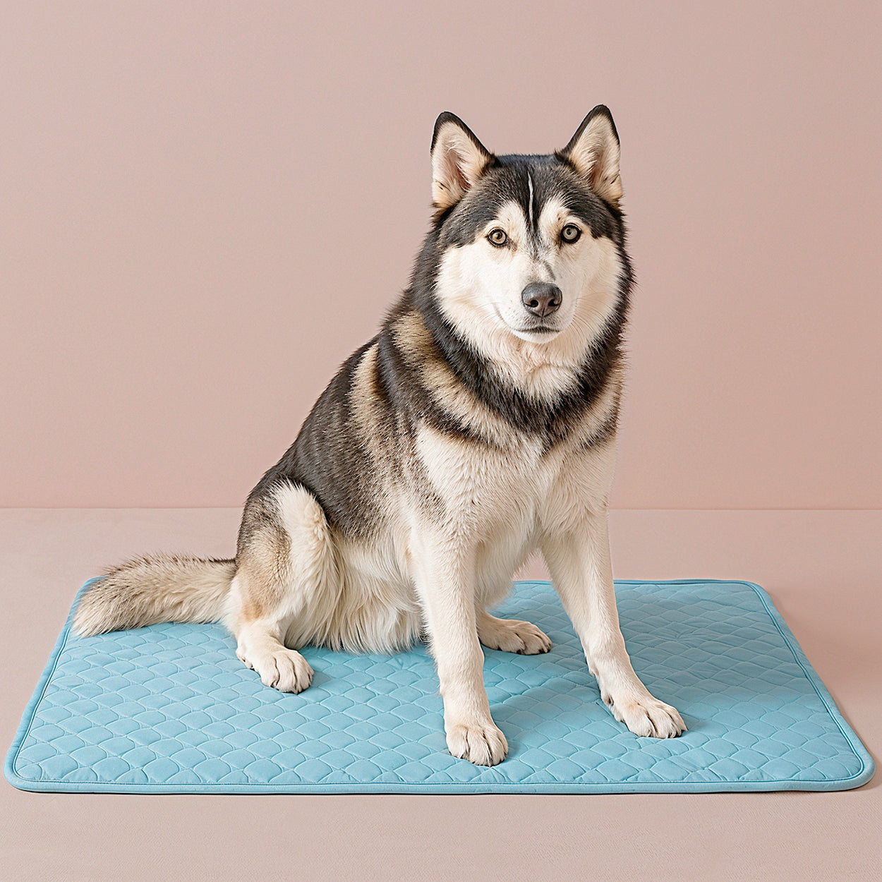Furvo ChillCore™ Cooling Mat for Dogs & Cats – No Gel, Washable, XL Sizes
