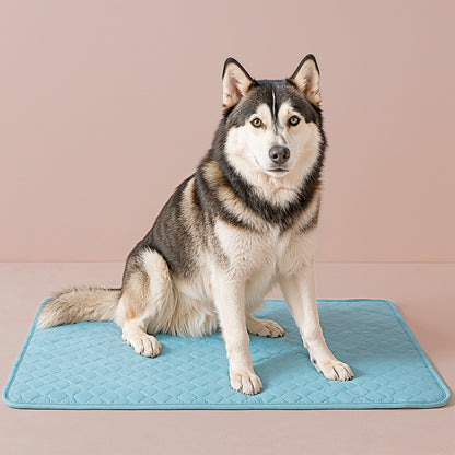 Furvo ChillCore™ Cooling Mat for Dogs & Cats – No Gel, Washable, XL Sizes