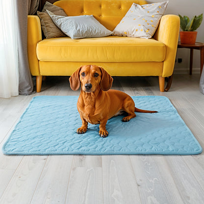 Furvo ChillCore™ Cooling Mat for Dogs & Cats – No Gel, Washable, XL Sizes