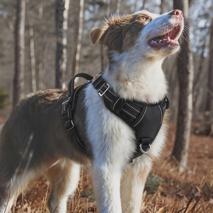 Title: Furvo ControlMax™ No-Pull Dog Harness – Adjustable, Reflective, with Front & Back Leash Clips