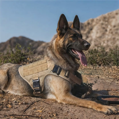  Furvo ControlTac™ Tactical Dog Harness & Collar Set – No-Pull, MOLLE System, Metal Buckles, 1050D Nylon (S–XL)