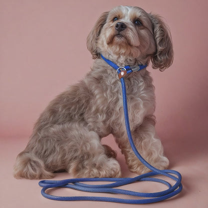 Furvo GlideLock™ Leash – No-Pull Slip Design with Adjustable Collar, Climbing Rope Strength & Soft Grip Comfort