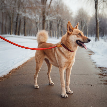 Furvo GlideLock™ Leash – No-Pull Slip Design with Adjustable Collar, Climbing Rope Strength & Soft Grip Comfort