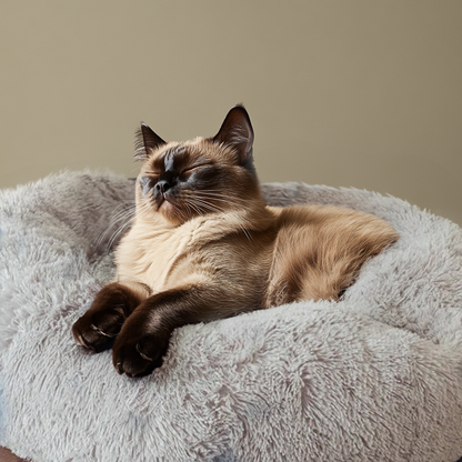 Furvo CozyNest™ Cat Bed – Ultra Plush, Washable, Anti-Slip Base (Multiple Sizes)