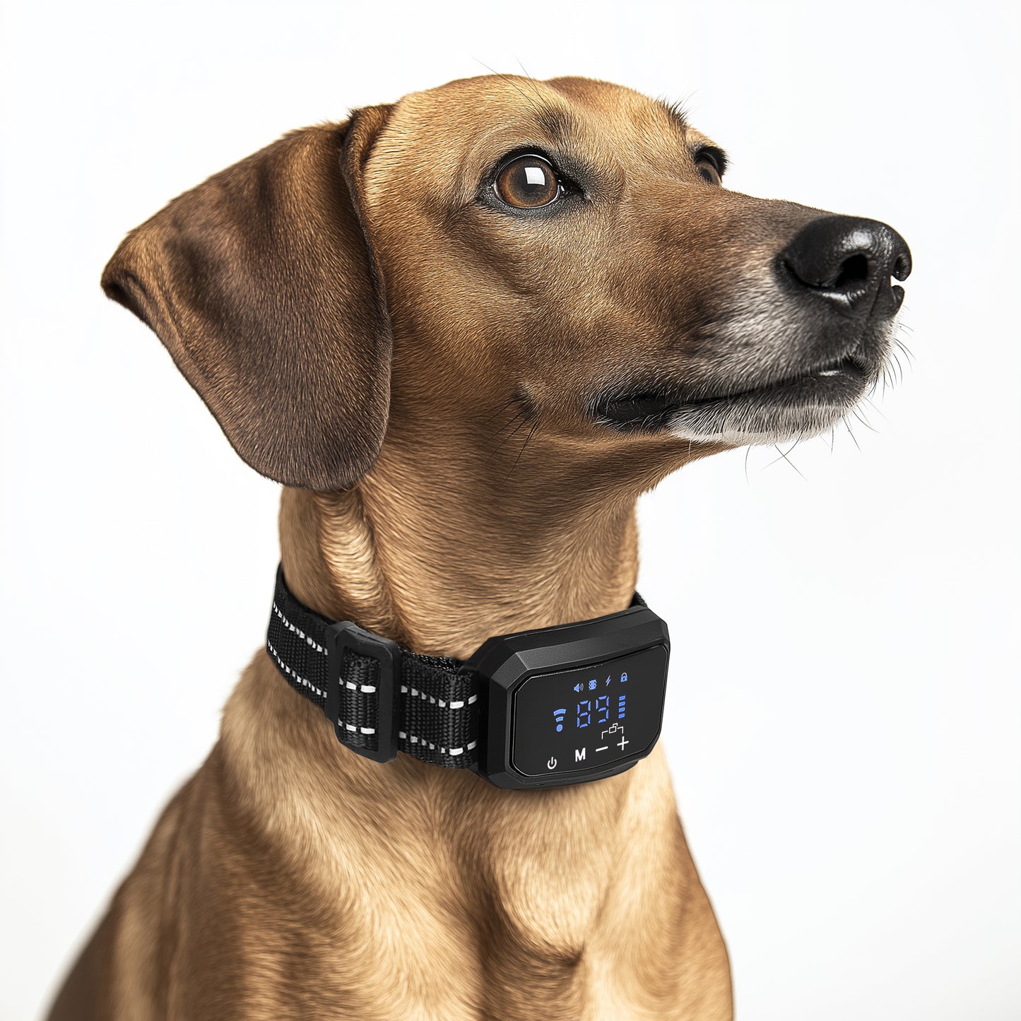 Furvo Dog GPS Wireless Dog Fence Collar